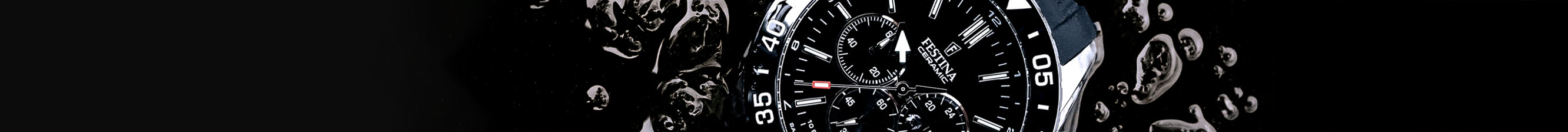 Divers watches