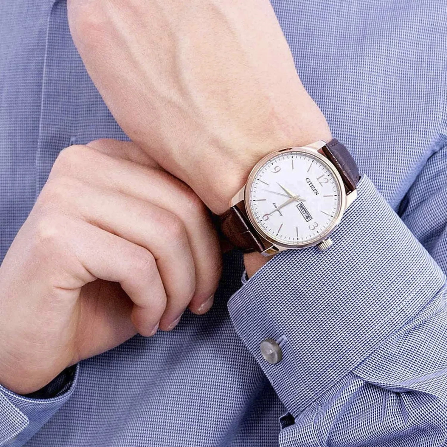 Citizen Eco-Drive Classic Elegant BM8553-16A - Ditur