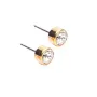 Blomdahl Bezel Earrings Titanium 15-1309-01