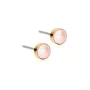 Blomdahl GT Bezel Pearl Earrings Titanium 15-1324-64