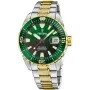 Festina Diver Ditur Special Edition F20706/2 watch with Green dial and a watch case of 41 mm in diameter and a Two-Tone in Gold, Silver