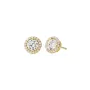 Michael Kors Stone Earrings Goldplated Silver MKC1035AN710