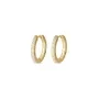 Esprit Glow Earrings Goldplated Silver S.88675894NL