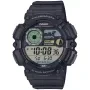 Casio Timeless WS-1500H-1AVEF