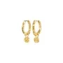 Pilgrim FIRE Earrings Goldplated Brass 112612013