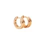 Sparv Donna Earrings Goldplated Brass 1410101
