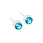 Blomdahl Bezel Earrings Plastic 15-0103-05