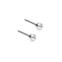 Blomdahl Bezel Earrings Titanium 15-1402-01