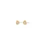 Pilgrim Kota Earrings Goldplated Brass 262542003