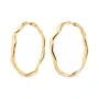 Pilgrim Larkin Earrings Goldplated Brass 272542013