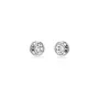 Swarovski Imber Earrings Stainless Steel 5696073