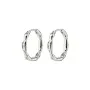 Pilgrim Eddy Earrings Metal 662316043