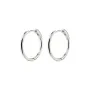Pilgrim Eanna Earrings Metal 682316043