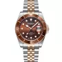 Dissing Diver D1257 watch with Brown dial and a watch case of 43 mm in diameter and a Metallink, Two-Tone in Rose Gold, Silver