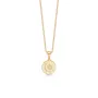 Captena Drogue Golden Necklace Stainless Steel DU10011