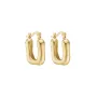 Schultz Earrings for Man, Woman with a beautiful Gold color made in Stainless Steel