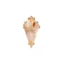 PDPAOLA Akiro Rutile Earring Single 18 ct. Goldplated Silver PG01-679-U