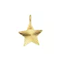 Jane Kønig Reflection Star Pendant 18 ct. Goldplated Silver RSP-HS22-G