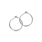 Blomdahl Ear Ring Earrings Titanium 15-1252-00
