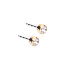 Blomdahl Bezel Earrings Titanium 15-1301-01