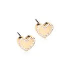 Blomdahl Brilliance Sweetheart Earrings Titanium 15-13173-01