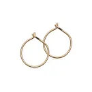 Blomdahl Ear Ring Earrings Titanium 15-1351-00