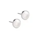 Blomdahl ST Bezel Pearl Earrings Titanium 15-1406-59