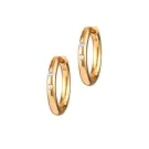 ANNI LU Birgitte Earrings Goldplated Brass 192-30-19