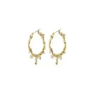 Pilgrim ANA Earrings Goldplated Brass 262312073