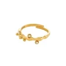 Pilgrim LULU magisk stack Ring Goldplated Brass 632532064