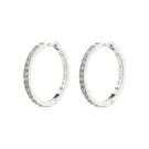 Pilgrim EBNA Earrings Metal 672316053