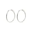 Pilgrim EANNA Earrings Metal 682316053
