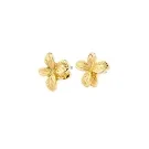 Pilgrim CHARMAINE Stud Earrings Goldplated Stainless Steel 692512033