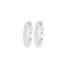 IX Studios Agnes Earrings Silver DMB0347SL