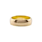 IX Studios Class Ring Goldplated Silver DMN0295GD