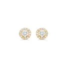 Diamond Dream Rosette Earrings Gold 0,36 ct. 01-511010