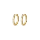 Esprit Glow Earrings Goldplated Silver S.88675894NL