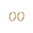 Esprit Pure Earrings Goldplated Silver S.89041317NL
