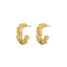 House of Vincent Silhouette Of Ceto Earrings Goldplated Silver VJ182- UEG