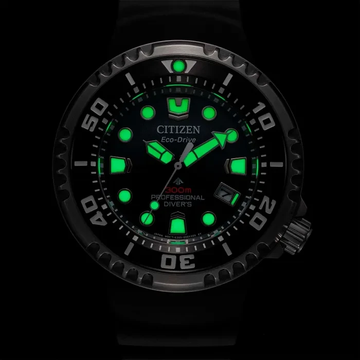 Citizen Promaster Professional Diver 300m BN1024-01E
