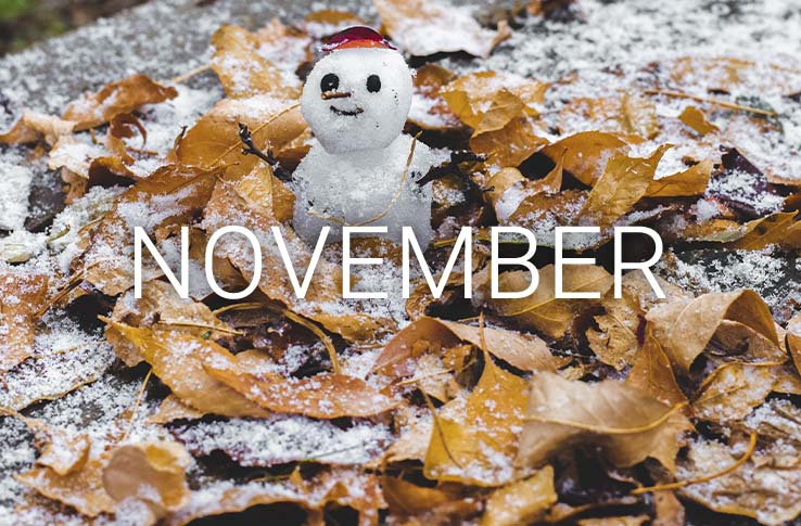 Snowman between leaves with the text November