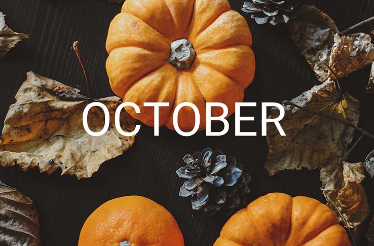 Pumpkins in nature with the text October