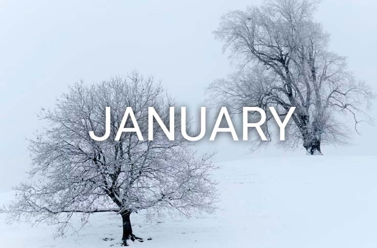 Two trees in the snow with the text January