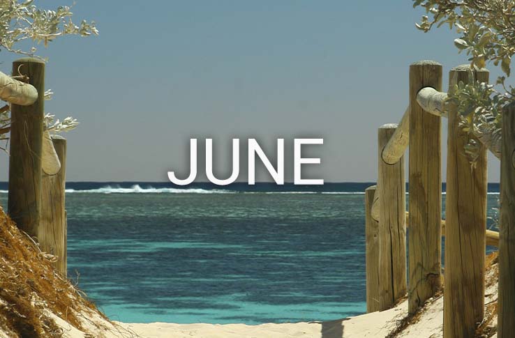 A beach and water in the background with the text June