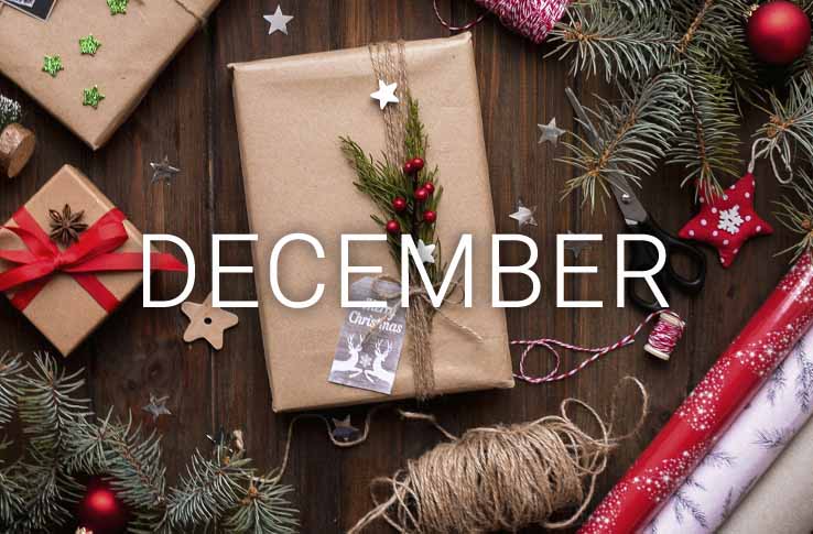 Elements of Christmas with the text December